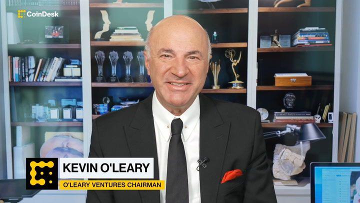Kevin O'Leary 斥资 1300 万美元购入收藏卡，他表示“NFT 只是一时的热潮”