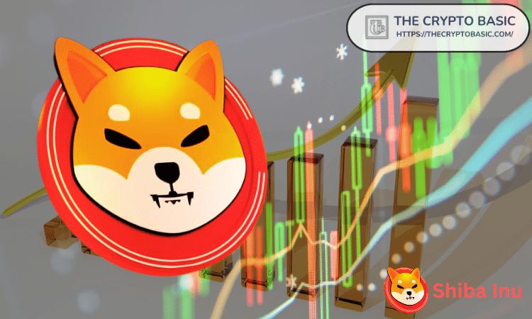 随着整合接近尾声，柴犬数量即将大幅扩张至新高度