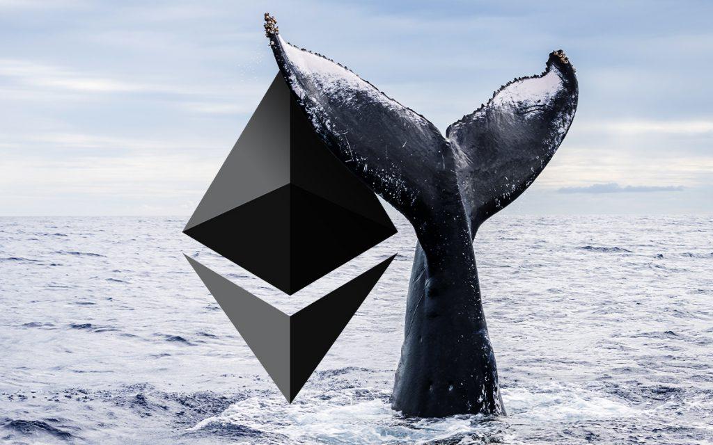 whales buying