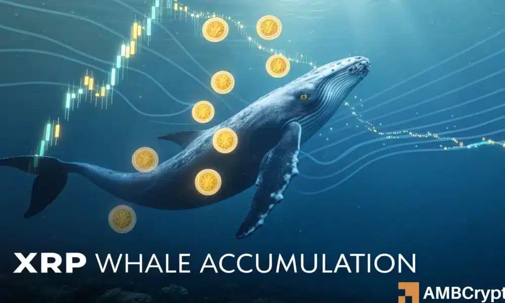 鲸鱼在两周内抢购 9.62 亿美元 XRP：4 美元比你想象的更近吗？