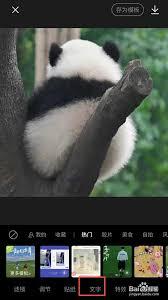 醒图app怎么添加文字
