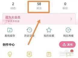 哔哩哔哩特别关注有啥作用