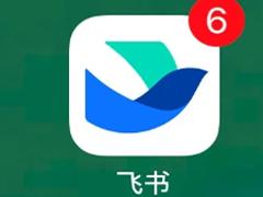 飞书妙计怎么用如何语音转文字 飞书妙计怎么变成会议纪要