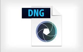 dng是什么格式文件
