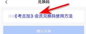 考古加兑换码输入位置在哪
