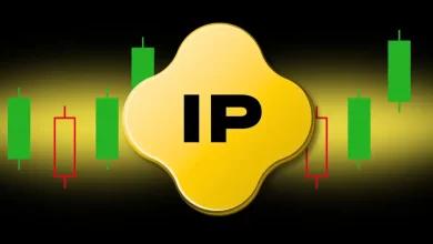 Story IP 创下历史新高——牛市能否进一步推高价格？