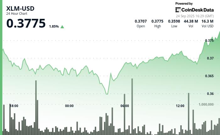 XLM 在大幅下跌后盘整，测试关键支撑位