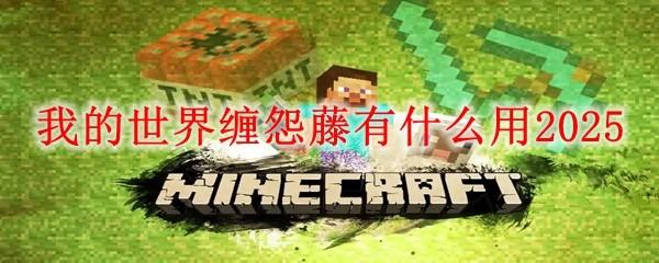 我的世界缠怨藤有什么用2025