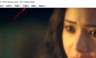 VLC media player如何显示播放信息