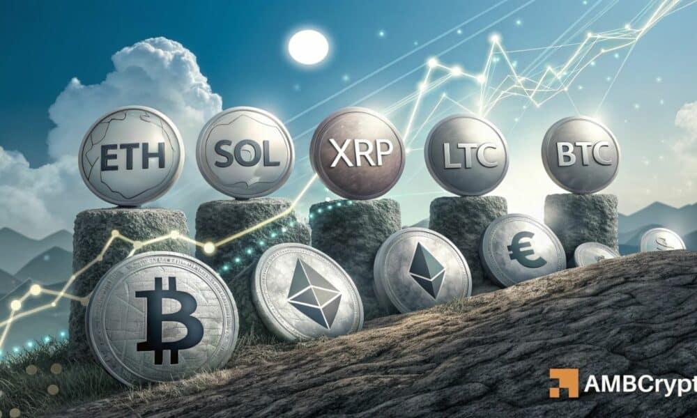 山寨币季节指数回升至 75：ETF 能否推动该板块走高