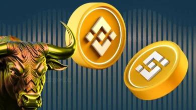 BNB 创下 1108 美元历史新高——上涨背后的关键原因