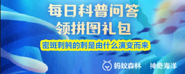 密斑刺鲀的刺是由什么演变而来
