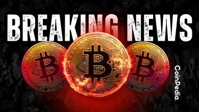 [直播] 加密货币新闻更新，加密货币市场今日为何上涨 10月7日