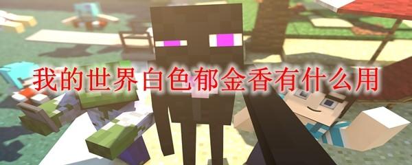 我的世界白色郁金香有什么用2025
