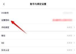 233乐园如何设置密码