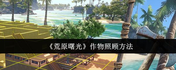 荒原曙光 作物照顾方法