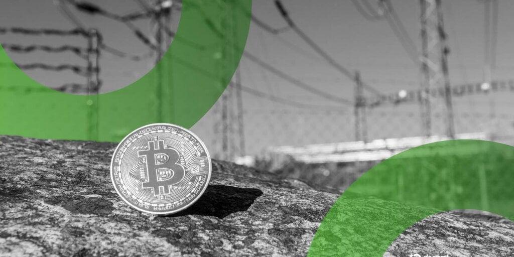 Coin 教授：比特币、能源和可持续加密货币的未来