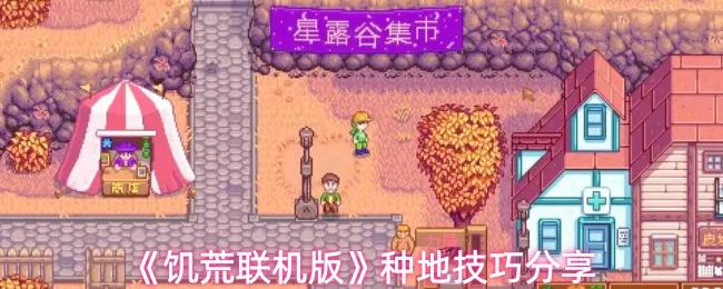 《饥荒联机版》种地技巧分享