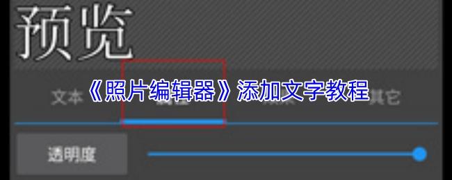 照片编辑器 添加文字教程
