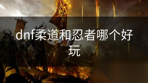 dnf柔道和忍者哪个好玩