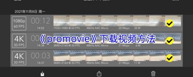 promovie 下载视频方法