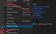 Vscode怎么设置自动检测