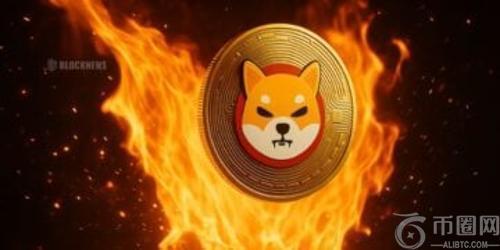 柴犬代币销毁飙升1993%，或成市场新焦点——SHIB能否迎来爆发
