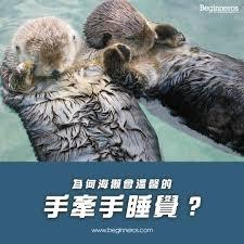 海獭为防止睡觉时被水流冲走会采取什么办法