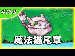 植物大战僵尸融合版究极爆焱猫尾草厉害吗