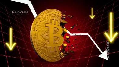 29%的比特币供应量处于水下——这是警告信号还是新一轮比特币牛市的开始