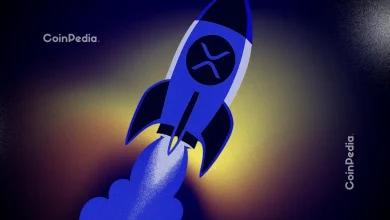 XRP价格今天为何上涨