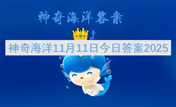 神奇海洋11月11日今日答案2025