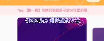 图图乐如何设置壁纸