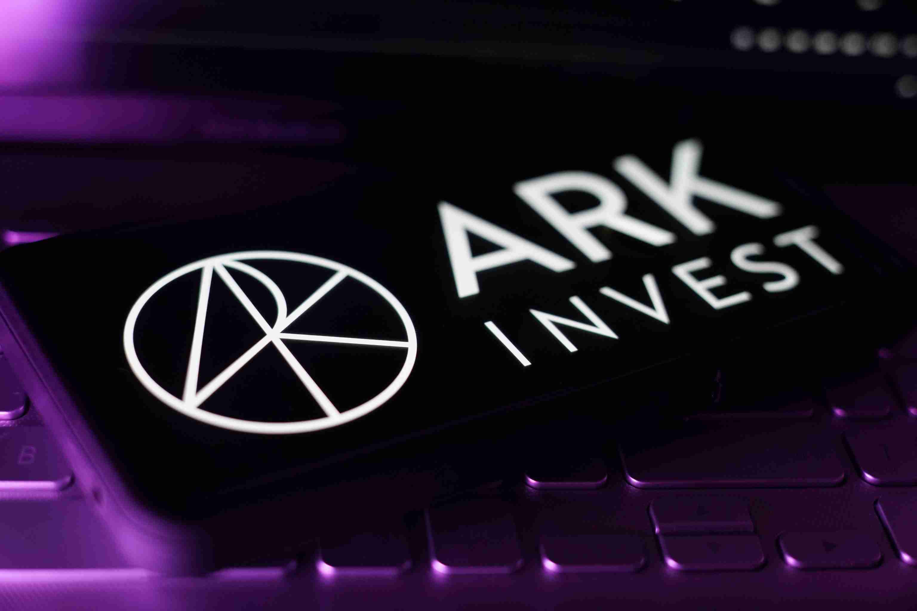 ARK Invest趁着暴跌买入BitMine股票，870万美元资金流入，看好BitMine。