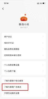 番茄小说怎么屏蔽广告