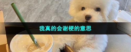 我真的会谢什么意思(网络梗) 我真的会谢是什么梗