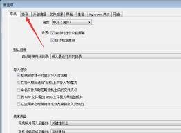 Lightroom如何设置自动放弃1:1预览