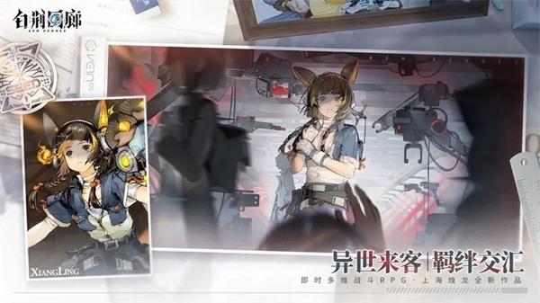 白荆回廊角色 白荆回廊角色排行榜以及介绍