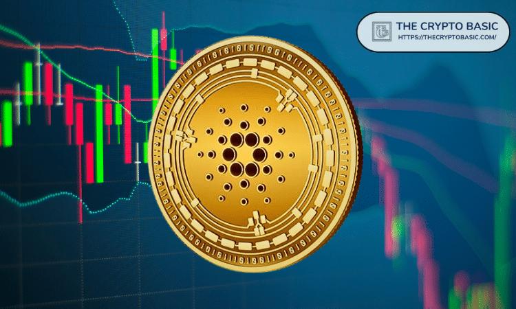 Cardano镜像2020年爆发式增长——分析师分享下一步目标