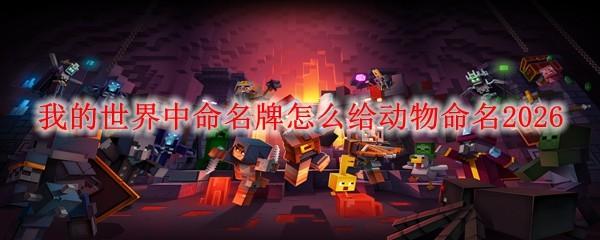 我的世界中命名牌怎么给动物命名2026