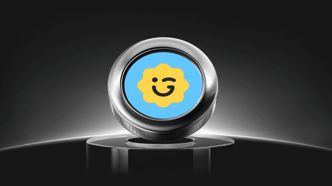 GIGGLE币的价格为什么波动 迷因币与慈善结合有什么风险