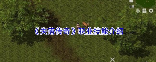 失落传奇 职业技能介绍