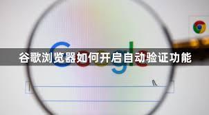 谷歌浏览器如何开启网站自动验证