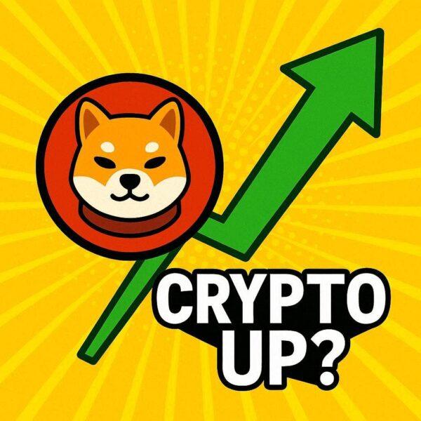 BONK加密货币强势回归：加密货币为何上涨 BONK会是2026年最值得投资的模因币吗