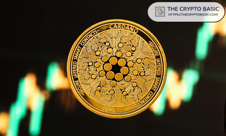 卡尔达诺的NIGHT代币一周内新增3000个钱包，午夜时段采用率激增