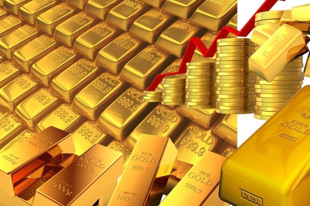 新卡尔达诺币脱离隐私币涨势，价格下跌7%。