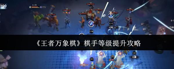 王者万象棋 棋手等级提升攻略