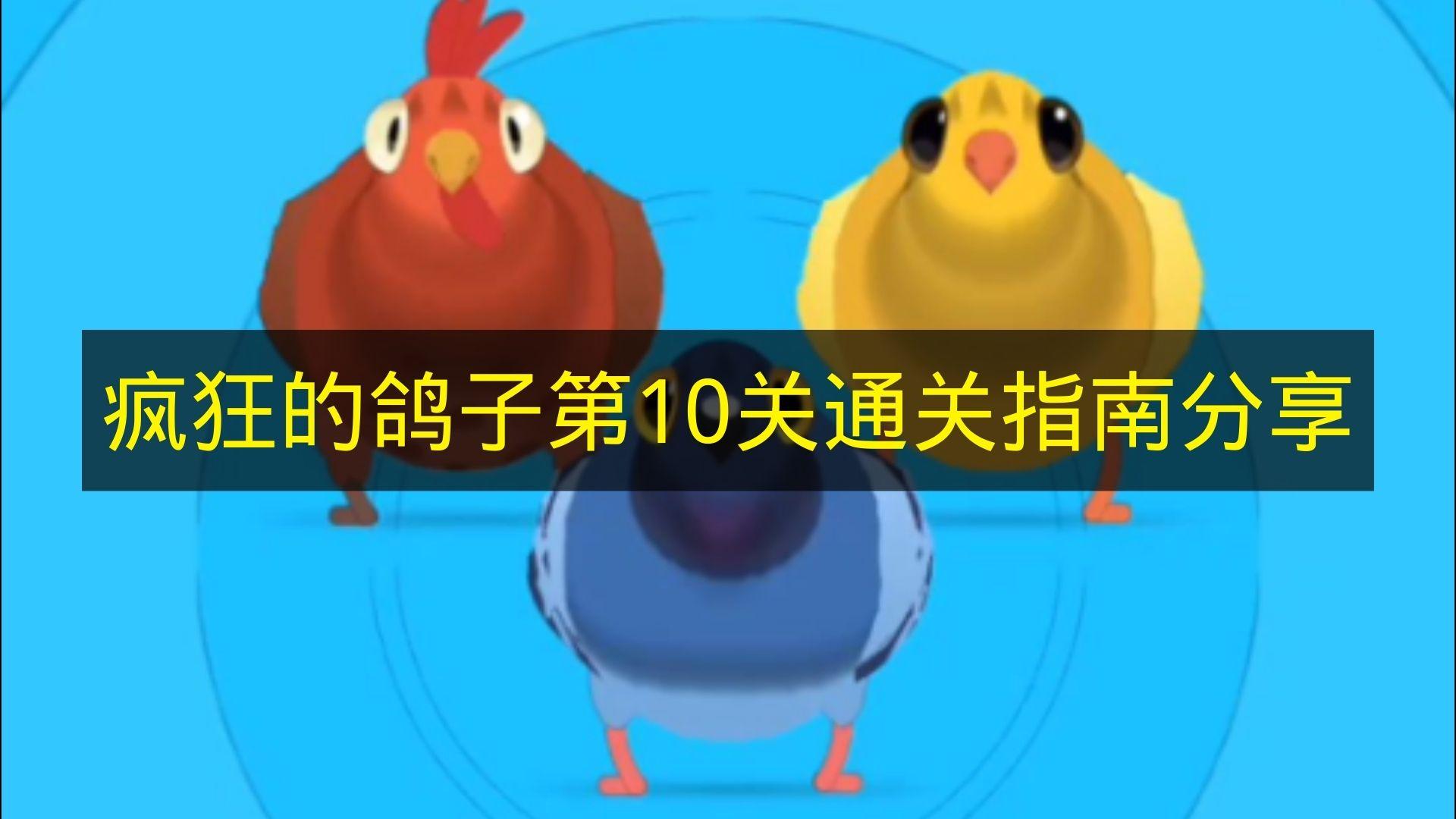 疯狂的鸽子 第10关通关指南分享