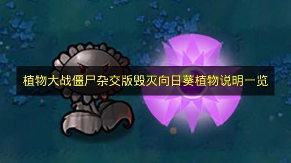 植物大战僵尸杂交版 毁灭向日葵植物说明一览