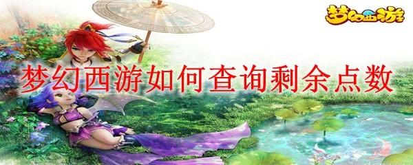 梦幻西游如何查询剩余点数